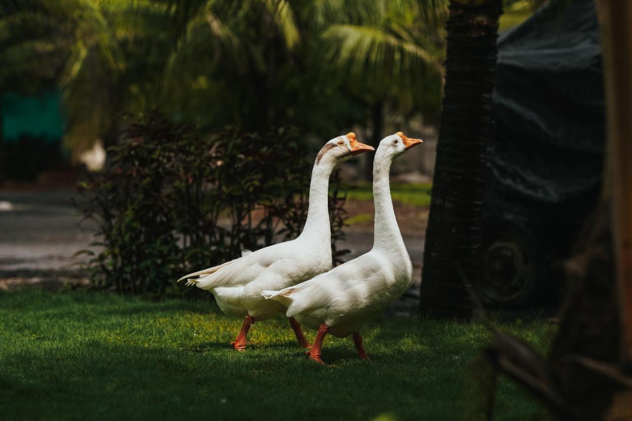 Shenwa The Kerala Village, Shahapur מראה חיצוני תמונה